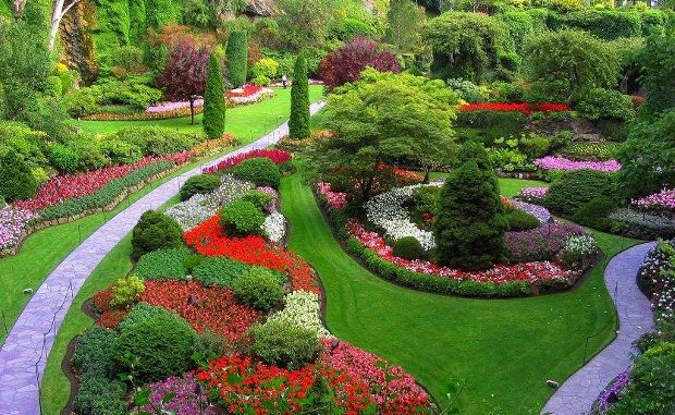 How to Make Your Garden Beautiful