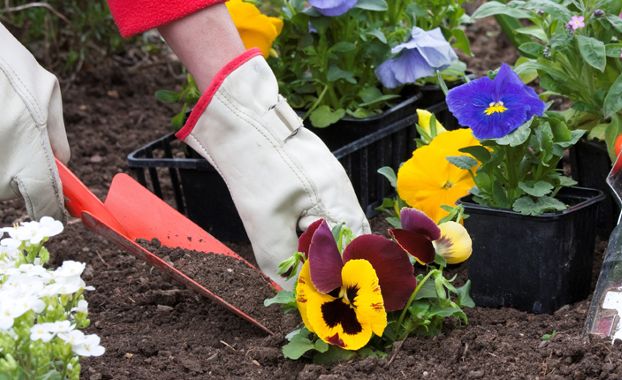 Why Gardening Is Good for Your Health