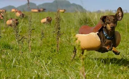 Heinz’s Adorable Stampede of Wiener Dogs Highlights Early Contenders for Best Super Bowl Ad