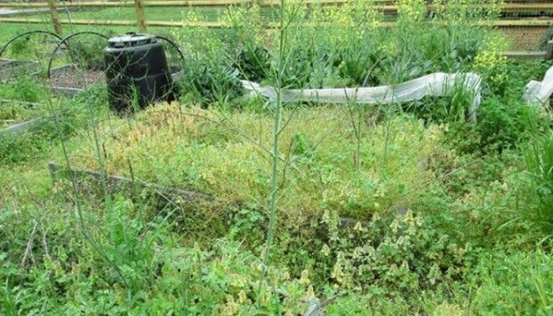 Source: Thesurvivalplaceblog.com