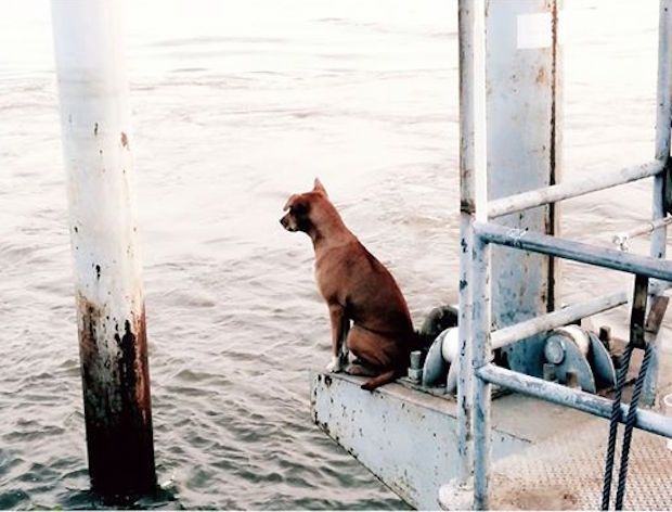 Courtesy of Thanawan Tongporn/Facebook.