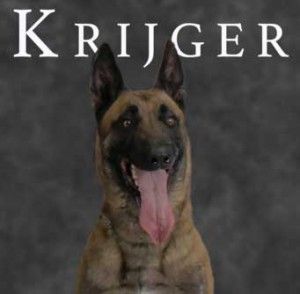 Source: BarkPost/K9 Memorial Cards