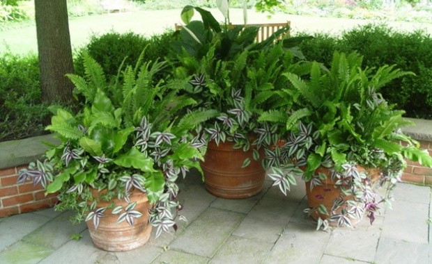 Photo Credit: Decor-Ideas.com 