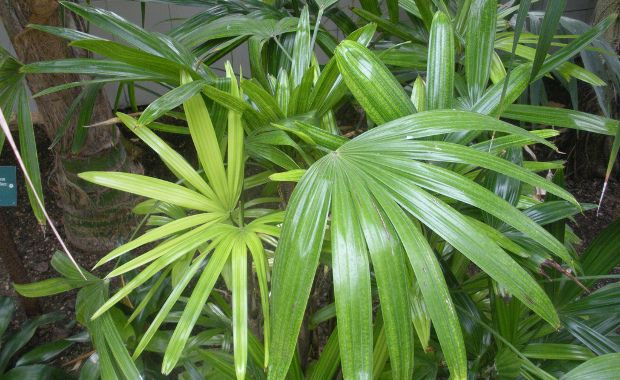 Photo Credit: Flickr.com