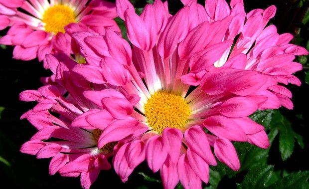 Photo Credit: Real Estate.com