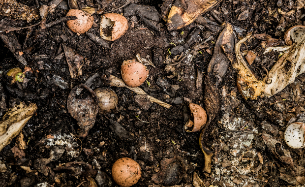 Photo Credit: Wikipedia