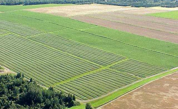 Photo Credit: Nation Of Change