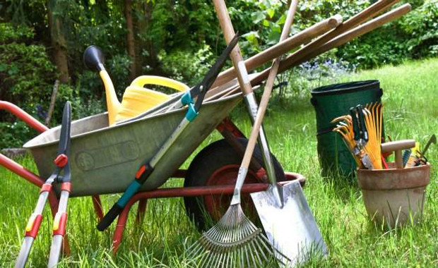 Photo Credit: Birds And Blooms