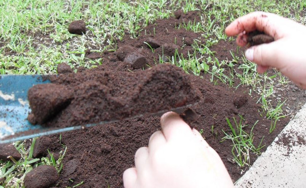 Photo Credit: Peerth.com