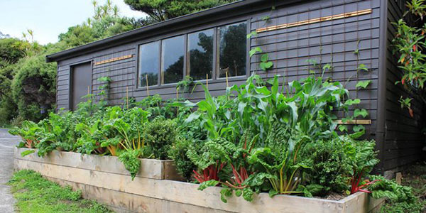 Photo Credit: Promocodes.com