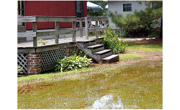 Photo Credit: Flickr