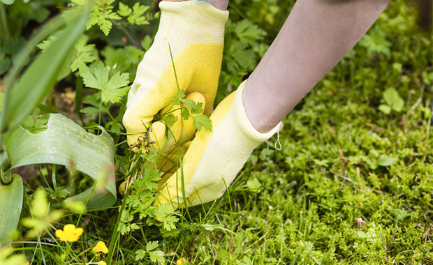 Photo Credit: David O Money