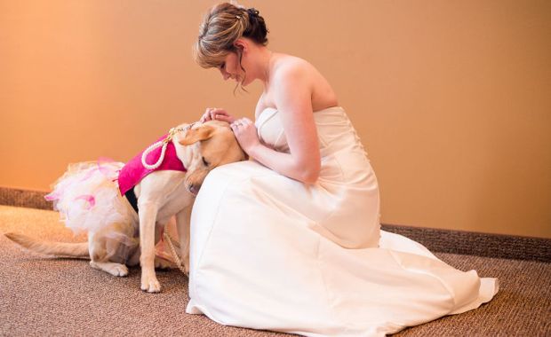 Photos of Bride With Service Dog Melts Hearts Everywhere