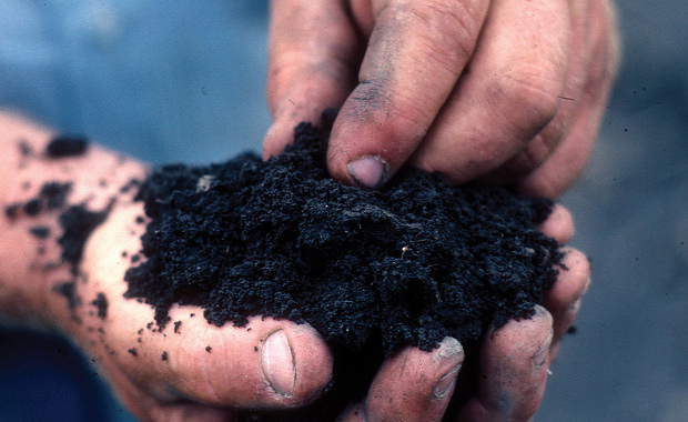 Photo Credit: Civileats.com