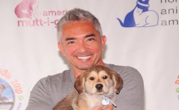‘Dog Whisperer’ Cesar Millan Under Investigation for Animal Cruelty