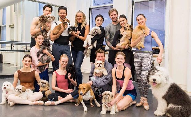 New York City Ballet Dancers Bring Their Dogs to Work