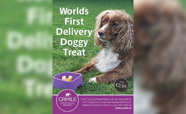 Irish Dogs Can Now Order Thai Takeout