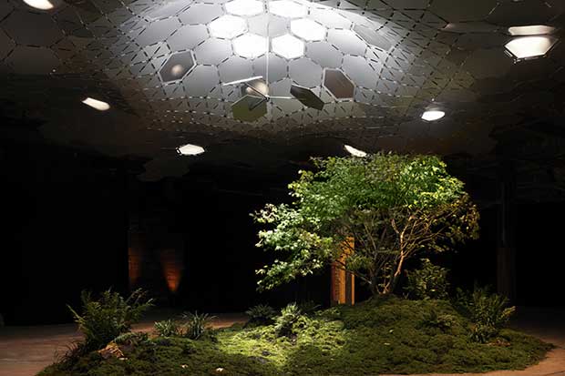 Source: TheLowline.org