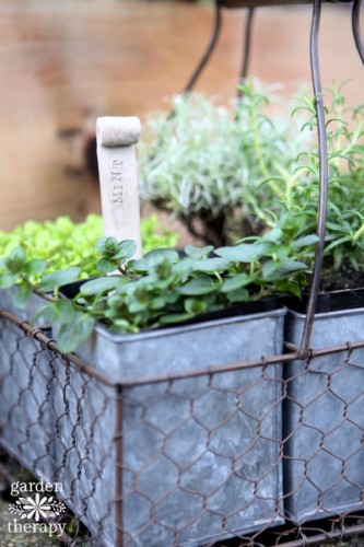Source: Gardentherapy.ca