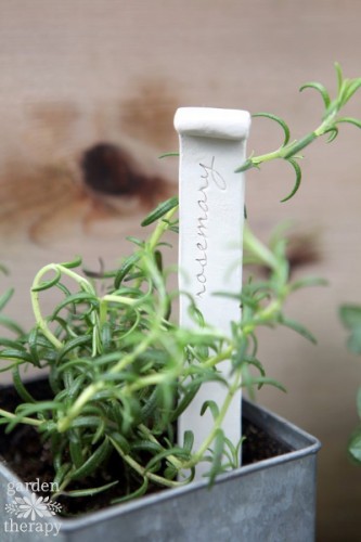 Source: Gardentherapy.ca