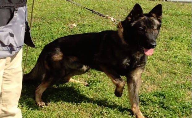 Source: Canton Police Department (Ohio)