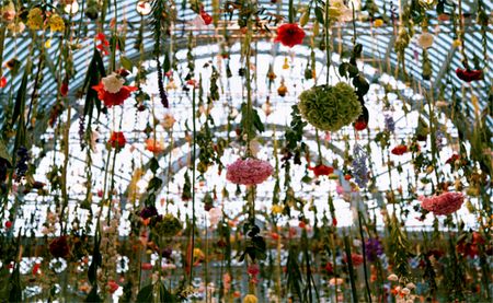 Flowers Bloom From the Sky in Central London