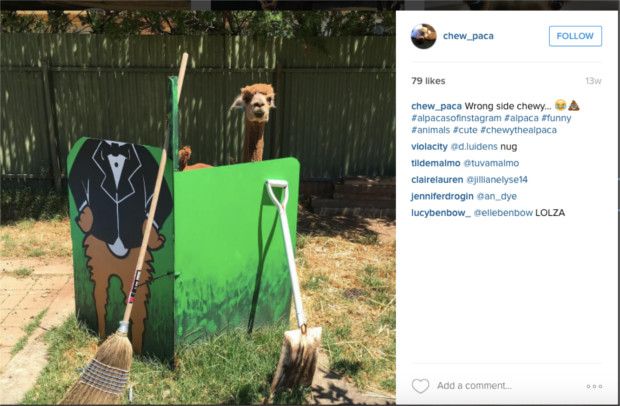 Screen Shot 2016-03-30 at 2.16.49 PM