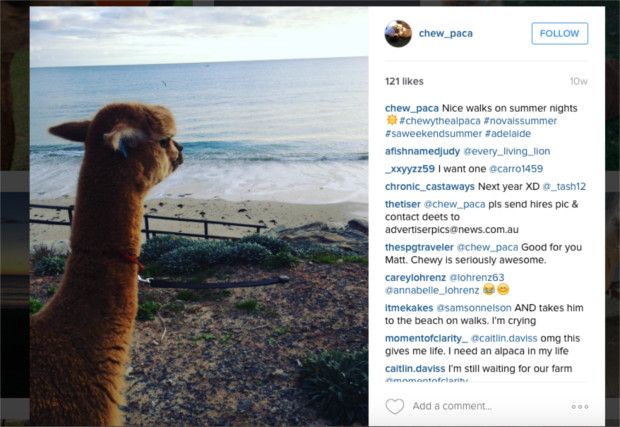 Credit Chew_Pac/Instagram