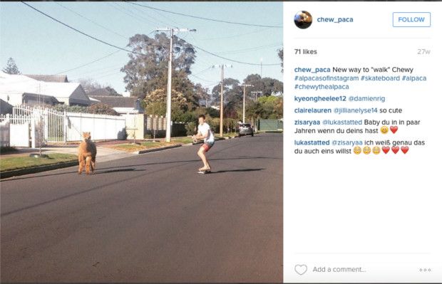 Screen Shot 2016-03-30 at 2.17.50 PM