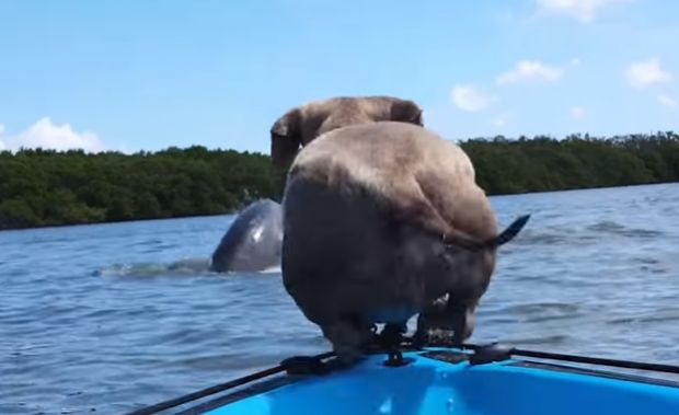 Photo Credit: Youtube.com