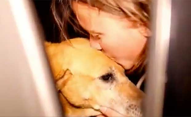 This Couple Couldn’t Decide Which Dogs to Save at a Run Down Shelter, So They Bought the Whole Thing