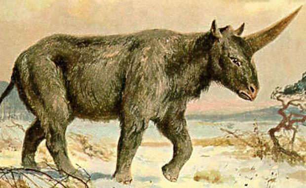 Source: Sciencealert.com