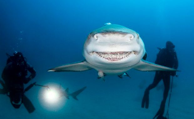 Photo Credit: Twitter/ Caters Agency News