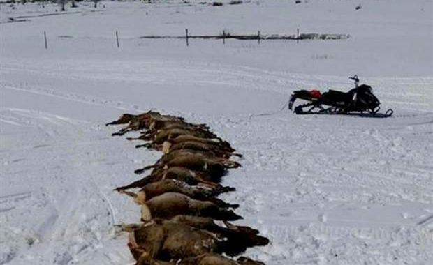 Source: Country10.com