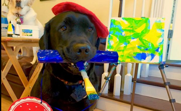 Meet DogVinci, the 4-Legged Artist Commissioning Amazing Paintings Around the World
