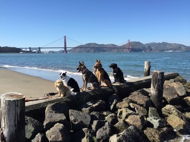 Source: Reddit seanlee2013