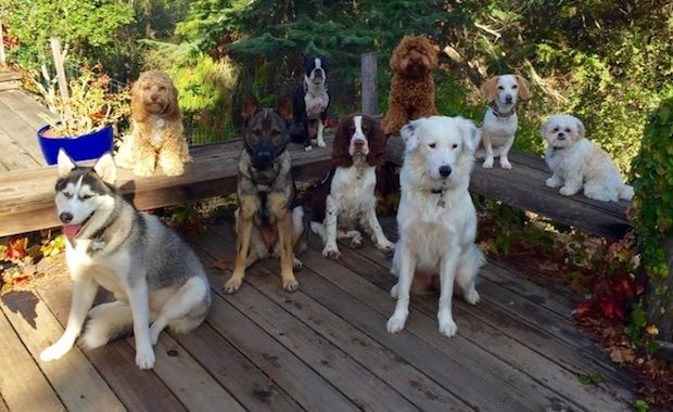 Source: Reddit seanlee2013