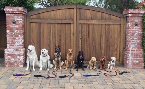 Source: Reddit seanlee2013