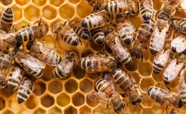 Source: Kerstin Klaassen—Getty Images