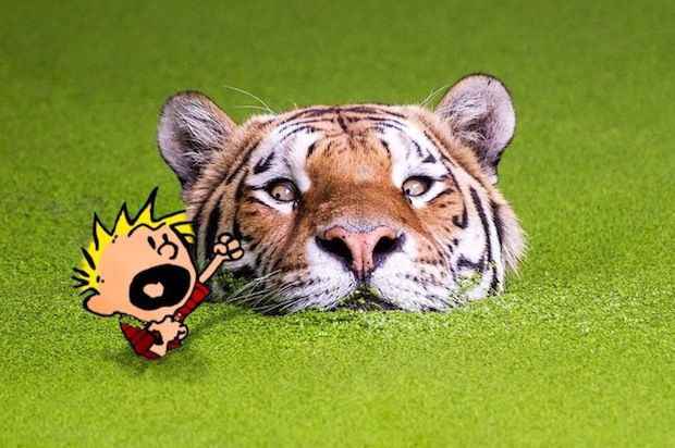 Source: Reddit, davepollotart