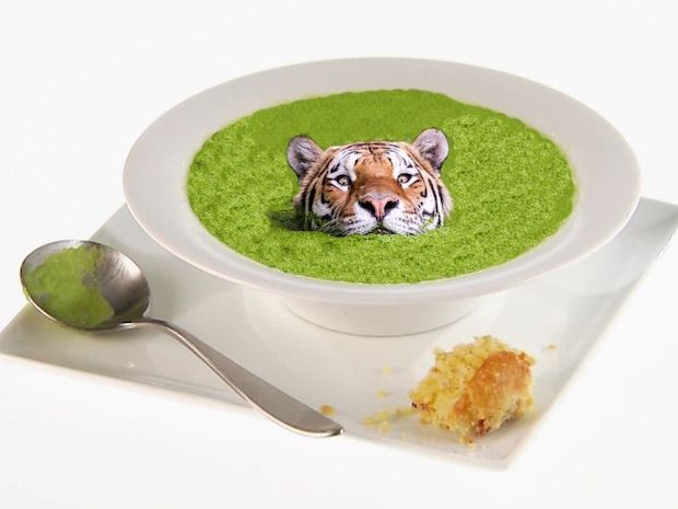 Source: Reddit, DAZMATIC