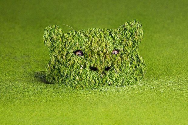 Source: REDDIT, WORKINGAT7