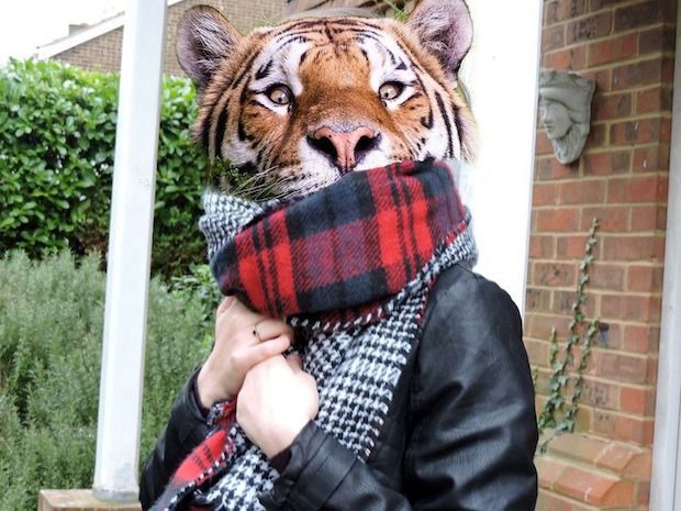 Source: REDDIT, MISTQUAKE