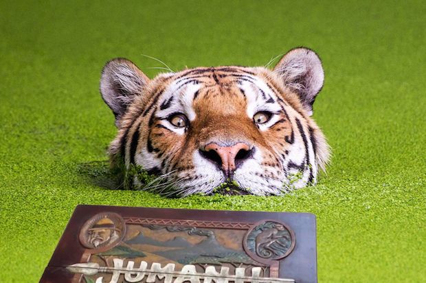 Source: Reddit, lorenzo_st_dubois