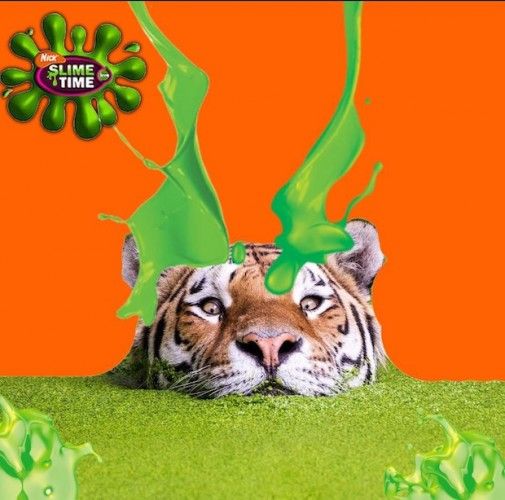 Source: REDDIT, APPS4LIFE