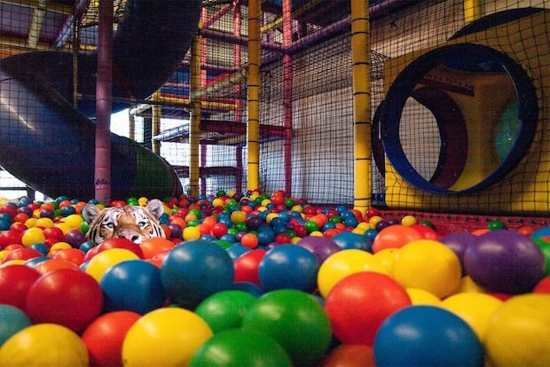 Source: REDDIT, GOALSTOPPER28