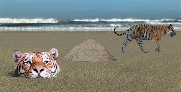 Source: Reddit, ADogNamedPal