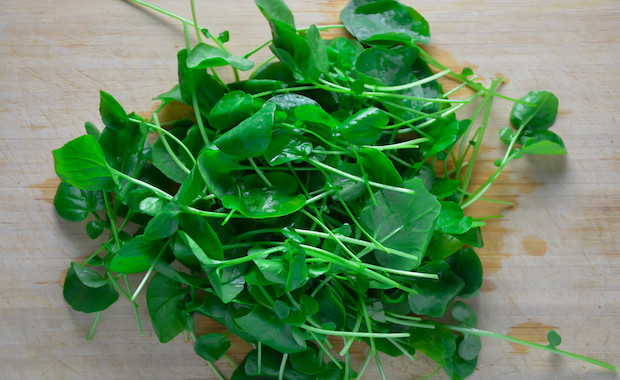 watercress-top