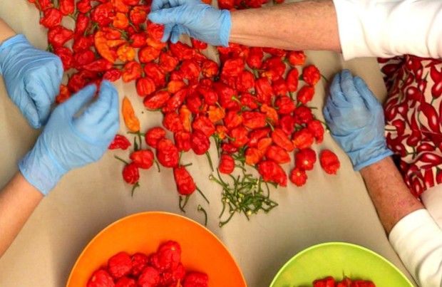 Source: abcnews.go.com