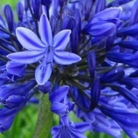 Source: Vitrowestland.nl